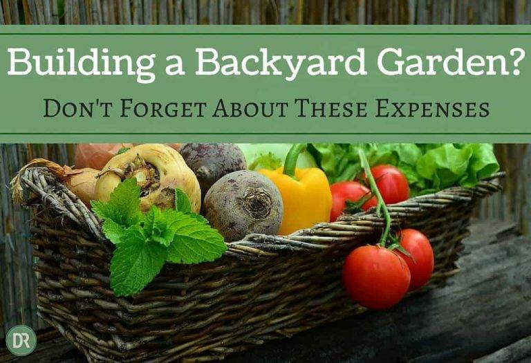 Building a Backyard Garden? Don’t Forget About These Expenses